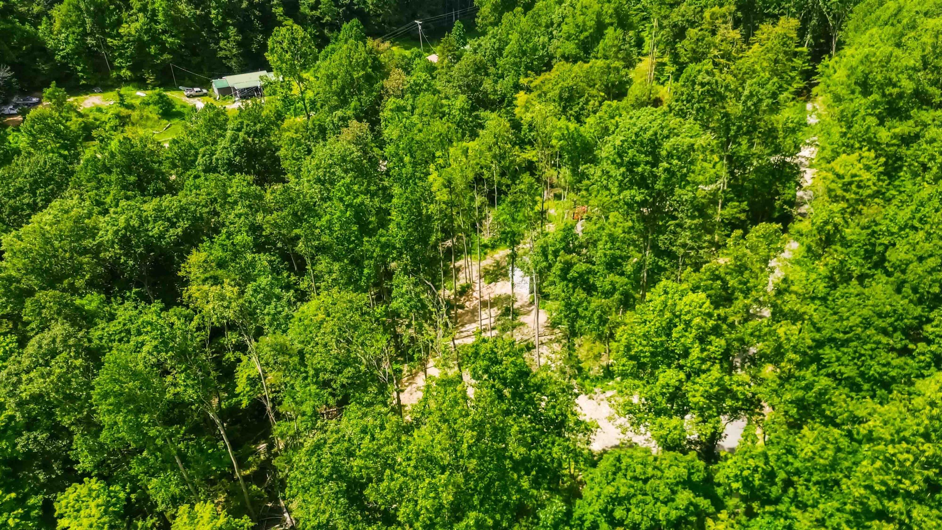 144 Kerby Road McKee, KY 40447 - Photo 6 of 19 014