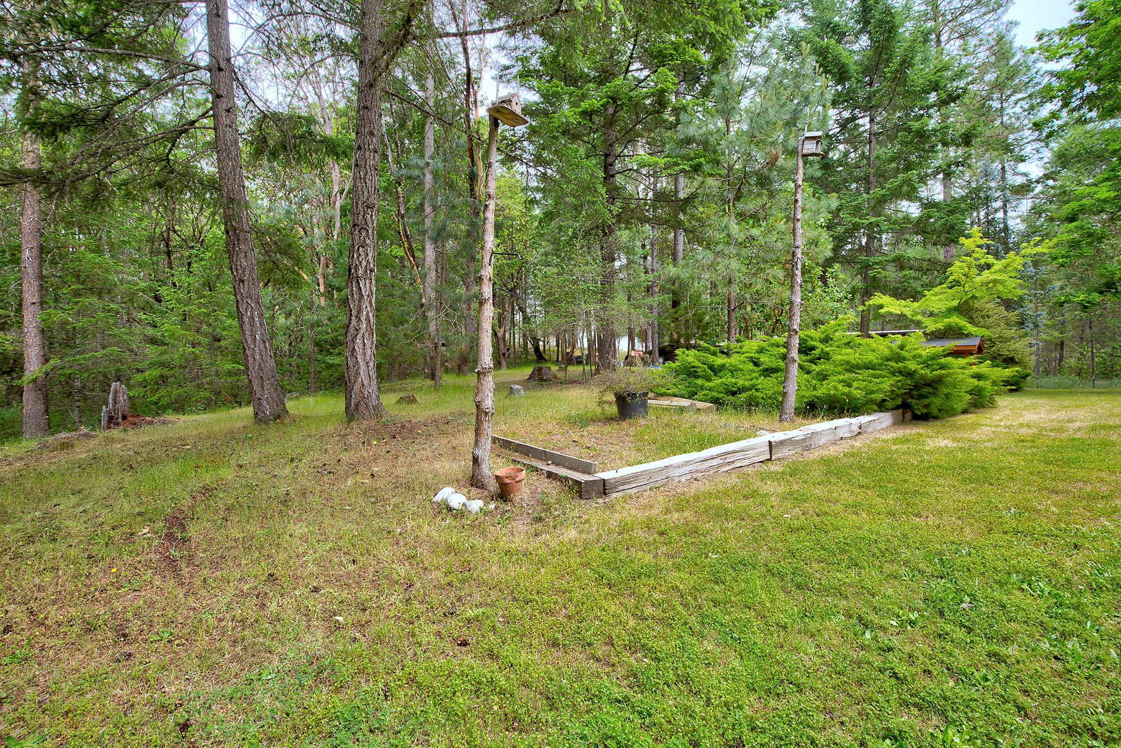 8417 Lower River Road Grants Pass, OR 97526 - Photo 16 of 29 Backyard Area