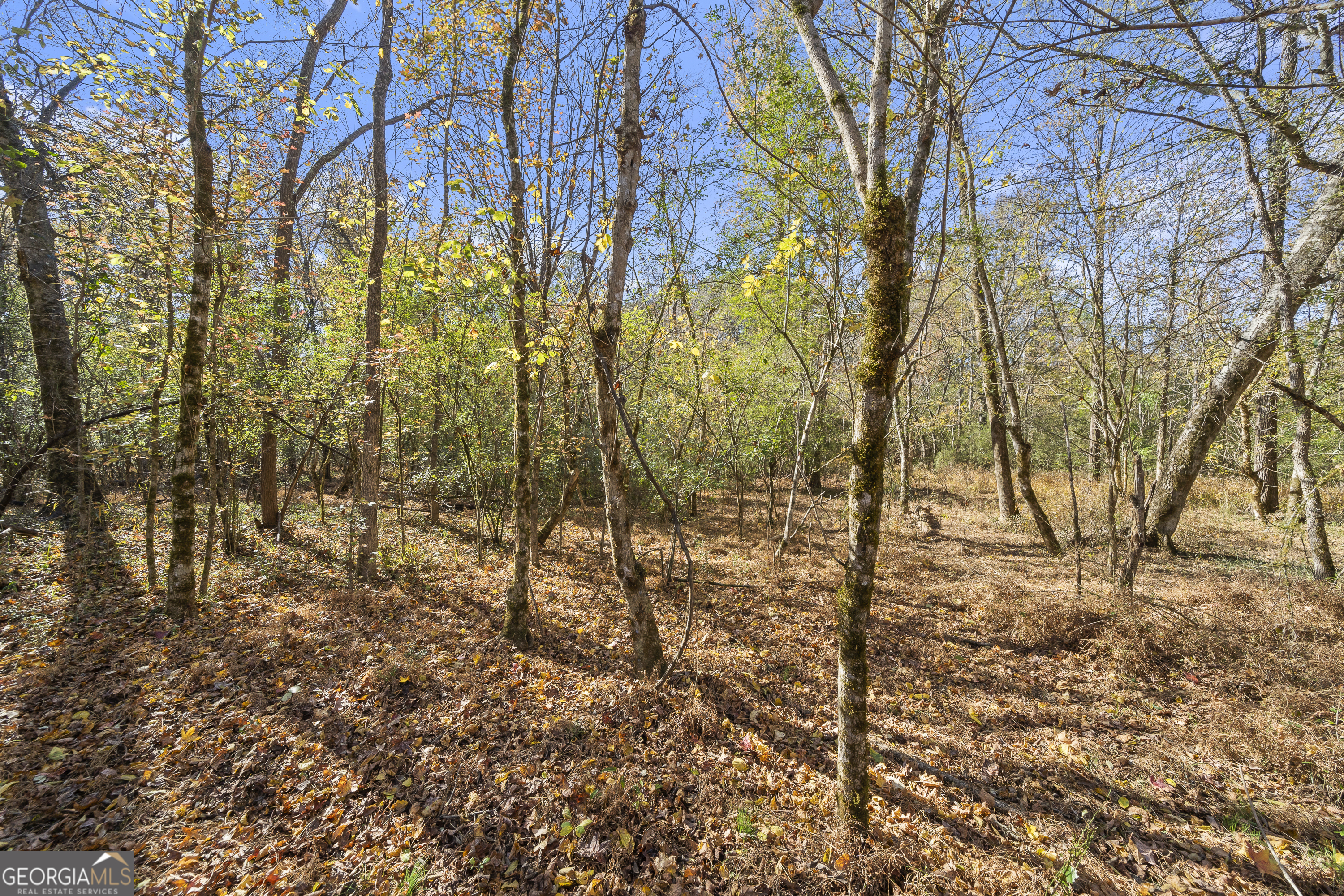 131 Cords Bridge Road Northeast Milledgeville, GA 31061 - Photo 45 of 46