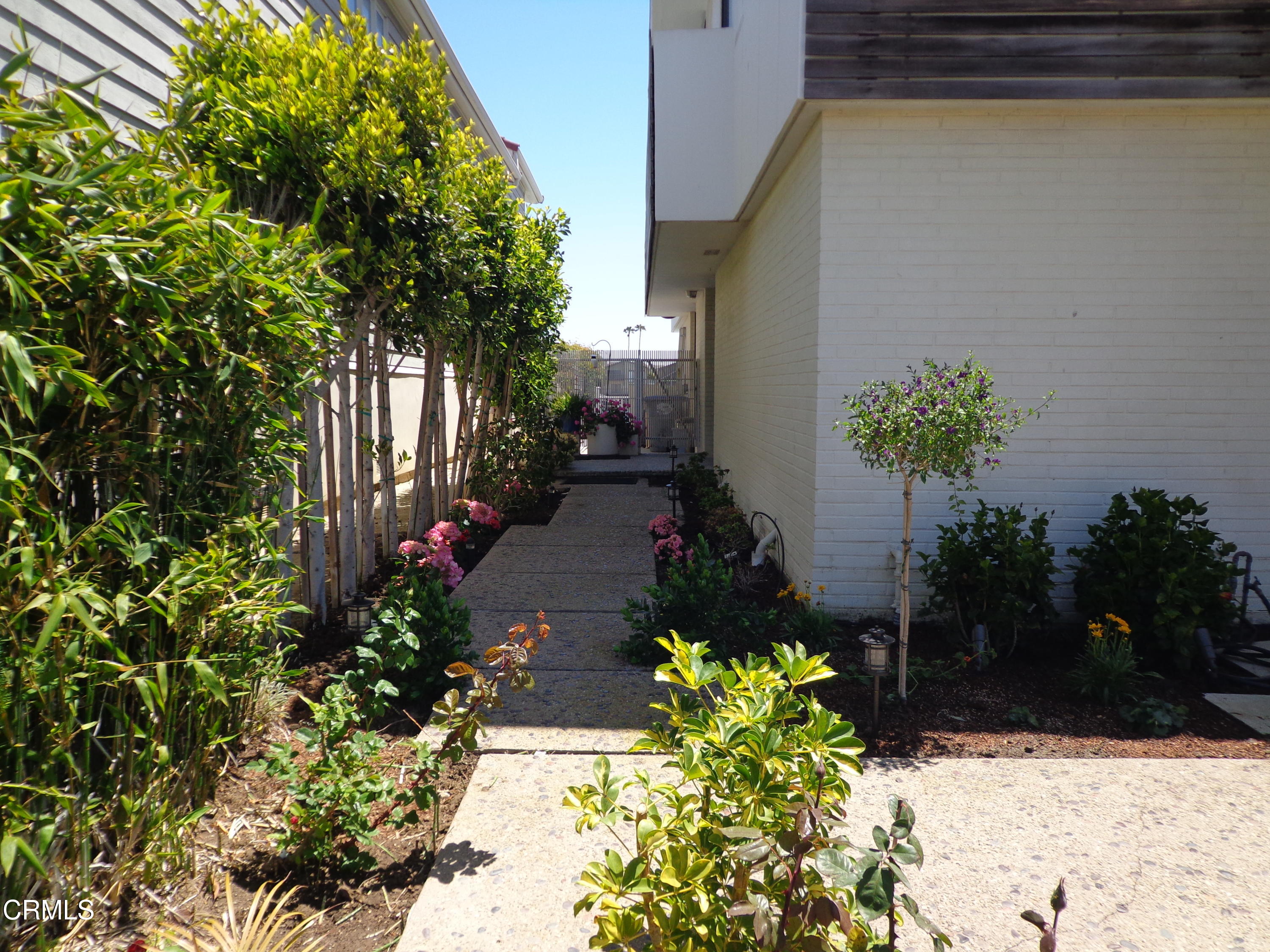 2440 Peninsula Road Oxnard, CA 93035 - Photo 3 of 27 Entry Walkway