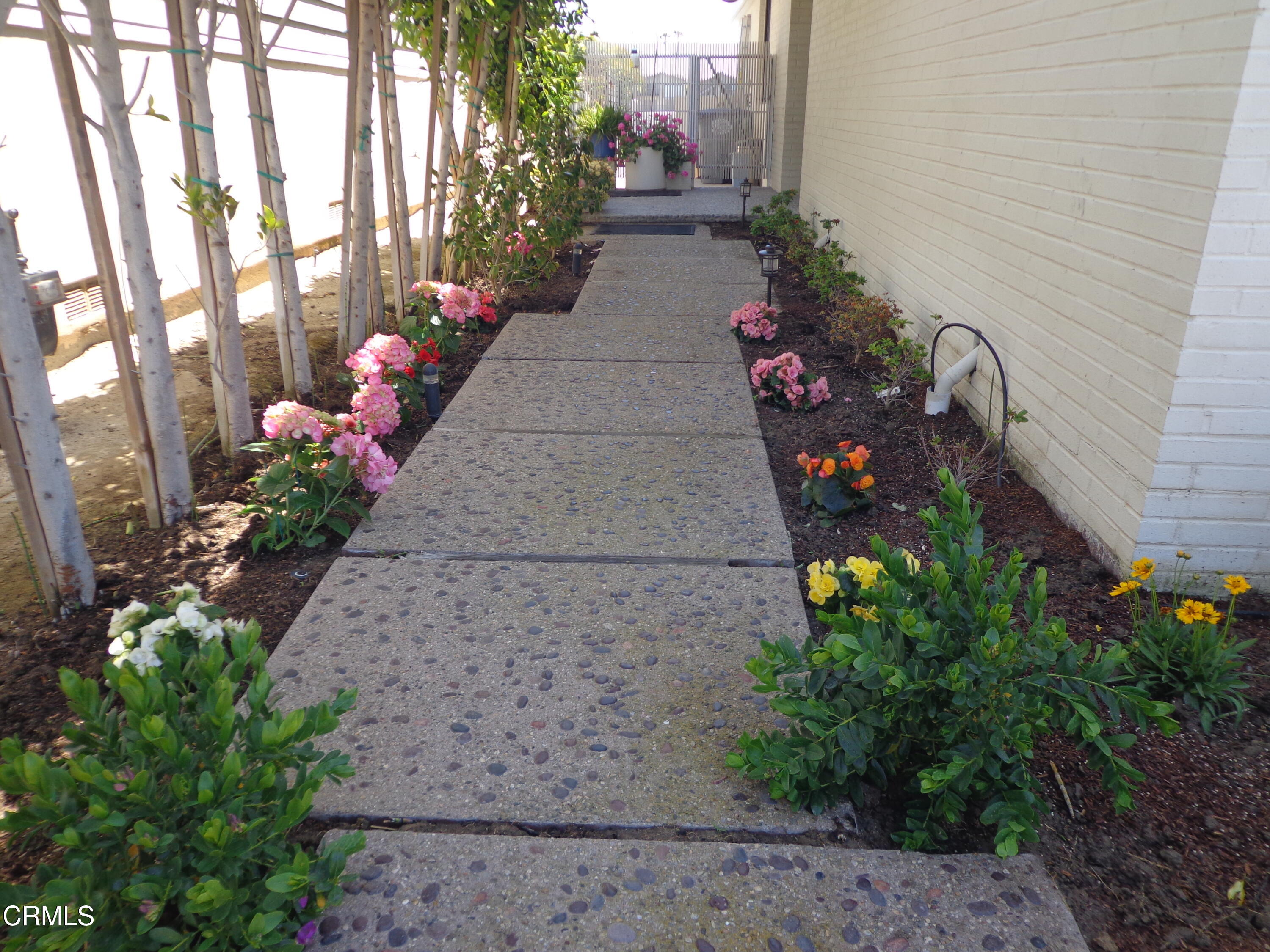 2440 Peninsula Road Oxnard, CA 93035 - Photo 4 of 27 Entry Walkway