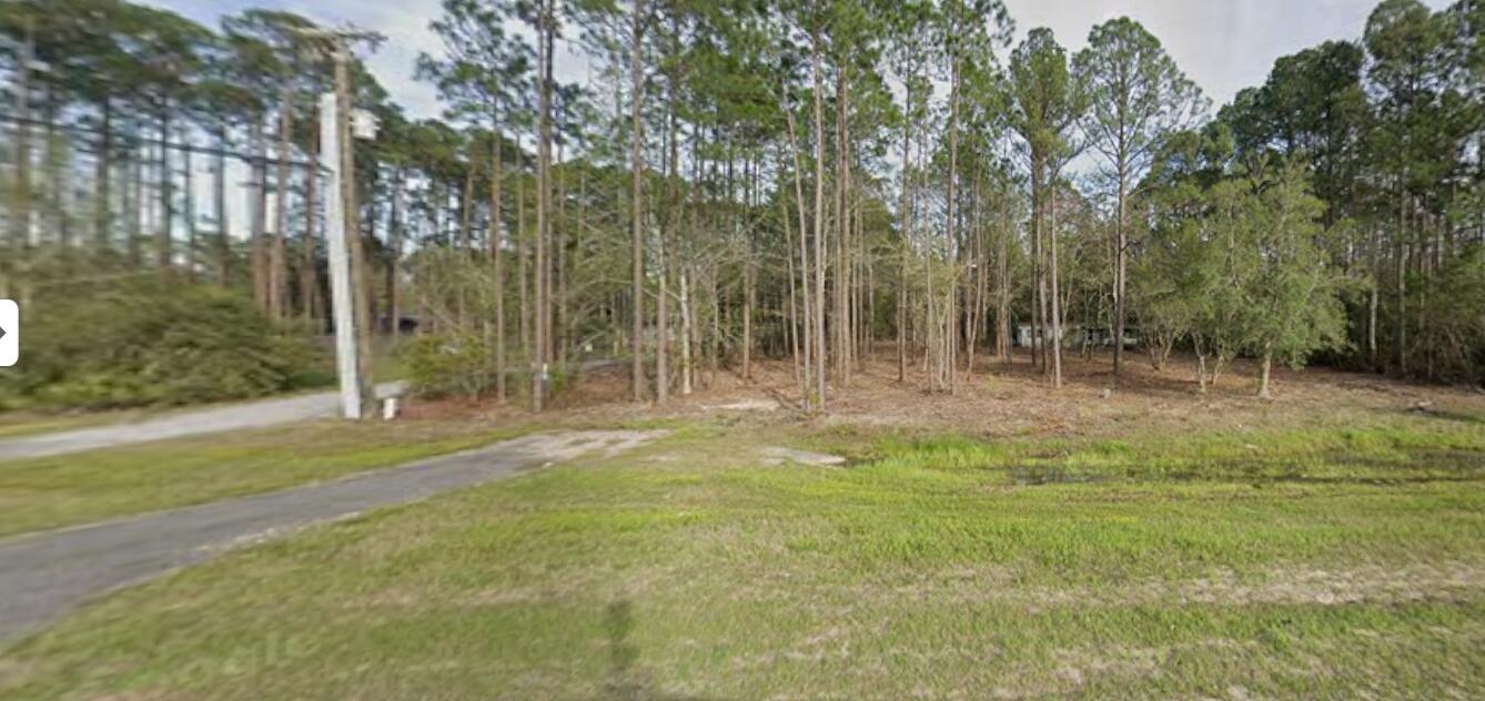 S South Us-331 Freeport, FL 32439 - Photo 2 of 6 a view of a yard with trees