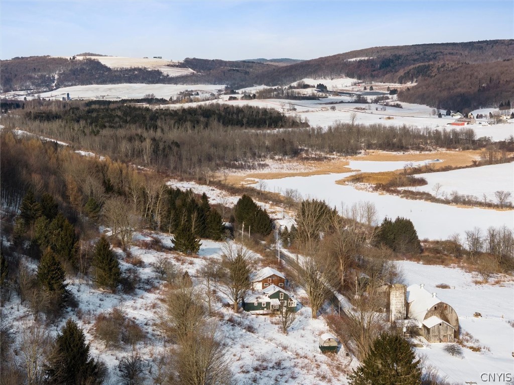 1761 Kinney Road DeRuyter, NY 13122 - Photo 12 of 44