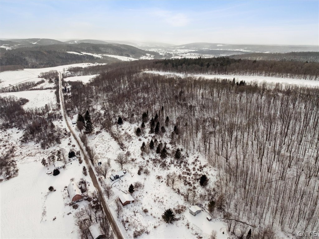 1761 Kinney Road DeRuyter, NY 13122 - Photo 9 of 44