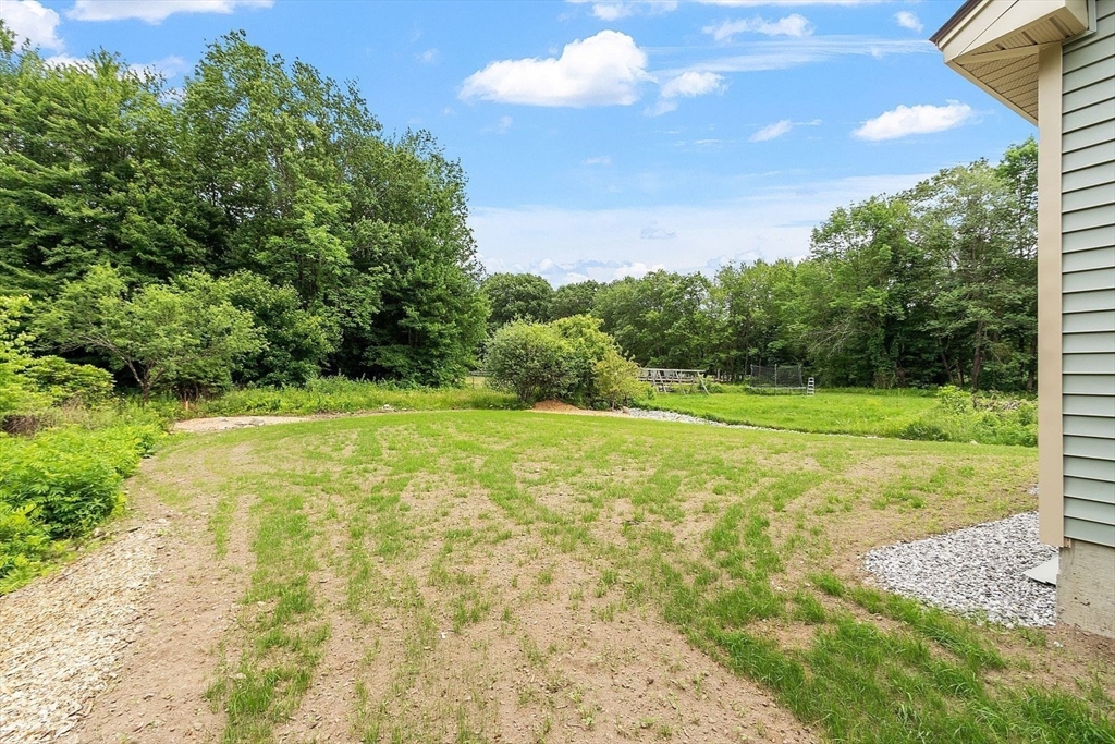 572 Pleasant Street Athol, MA 01331 - Photo 30 of 32 a view of a field with a tree