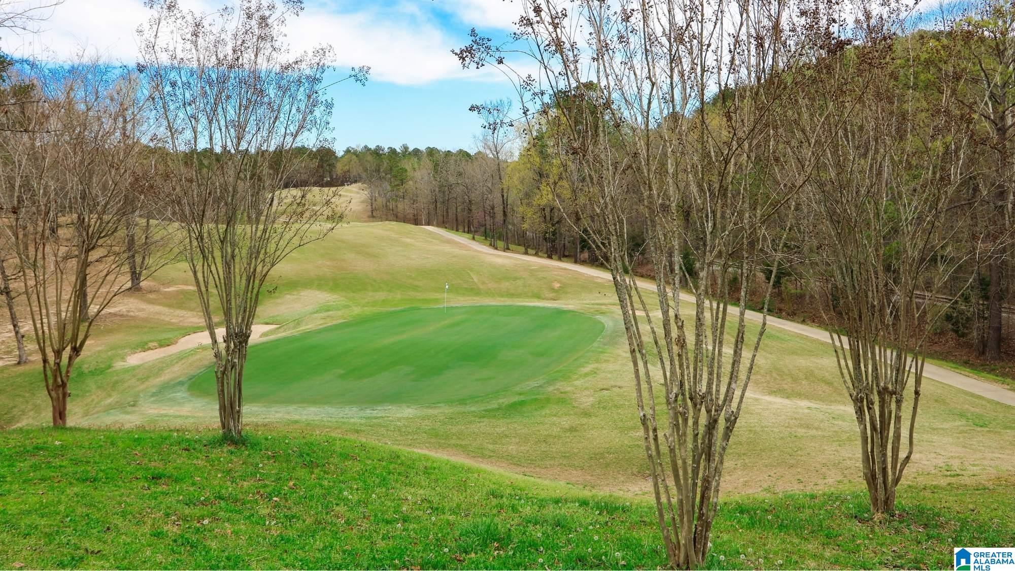 1068 Timberline Ridge Calera, AL 35040 - Photo 6 of 7
