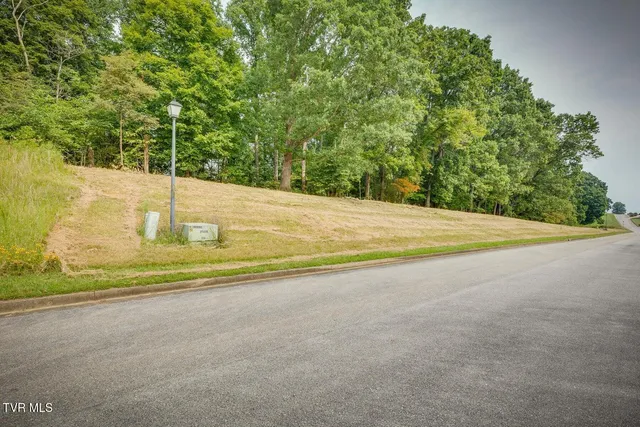 $34,900 | Lot 41 Chimney Top Lane, Unit 41, Chuckey, TN 37641