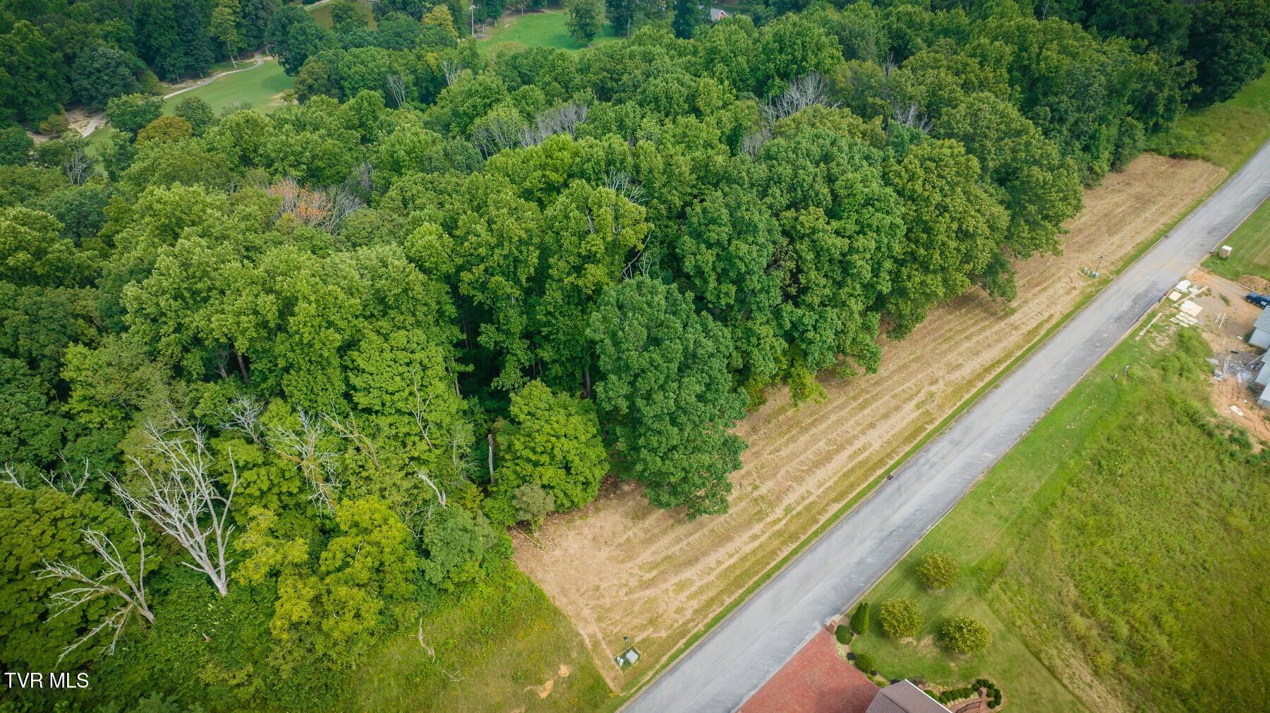 Lot 41 Chimney Top Lane, Unit 41 Chuckey, TN 37641 - Photo 5 of 10 20230827100756396868000000-o