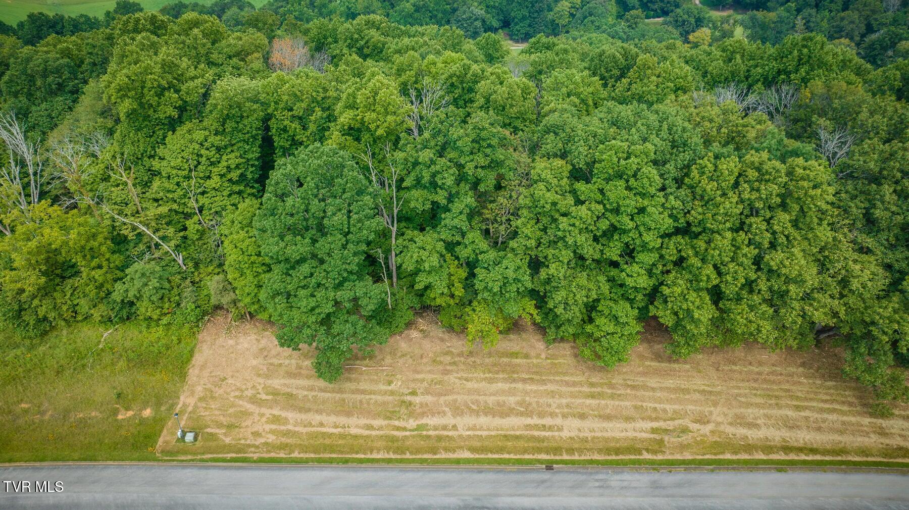 Lot 41 Chimney Top Lane, Unit 41 Chuckey, TN 37641 - Photo 7 of 10 20230827100751338564000000-o
