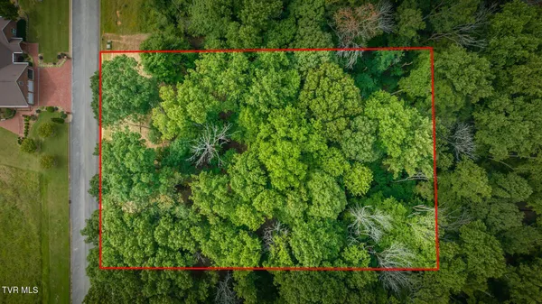 $34,900 | Lot 41 Chimney Top Lane, Unit 41, Chuckey, TN 37641