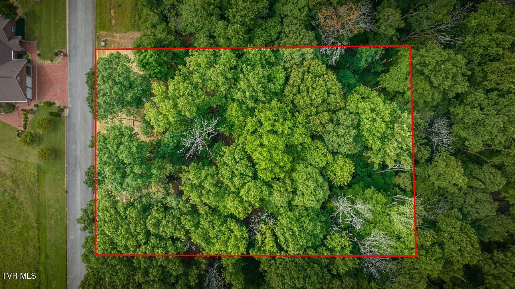 Lot 41 Chimney Top Lane, Unit 41 Chuckey, TN 37641 - Photo 8 of 10 20230827100811451903000000-o