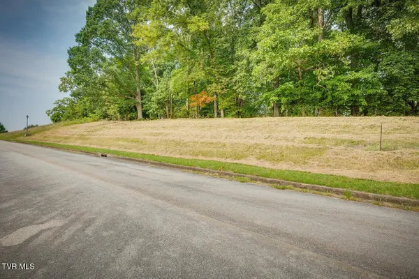 $34,900 | Lot 41 Chimney Top Lane, Unit 41, Chuckey, TN 37641