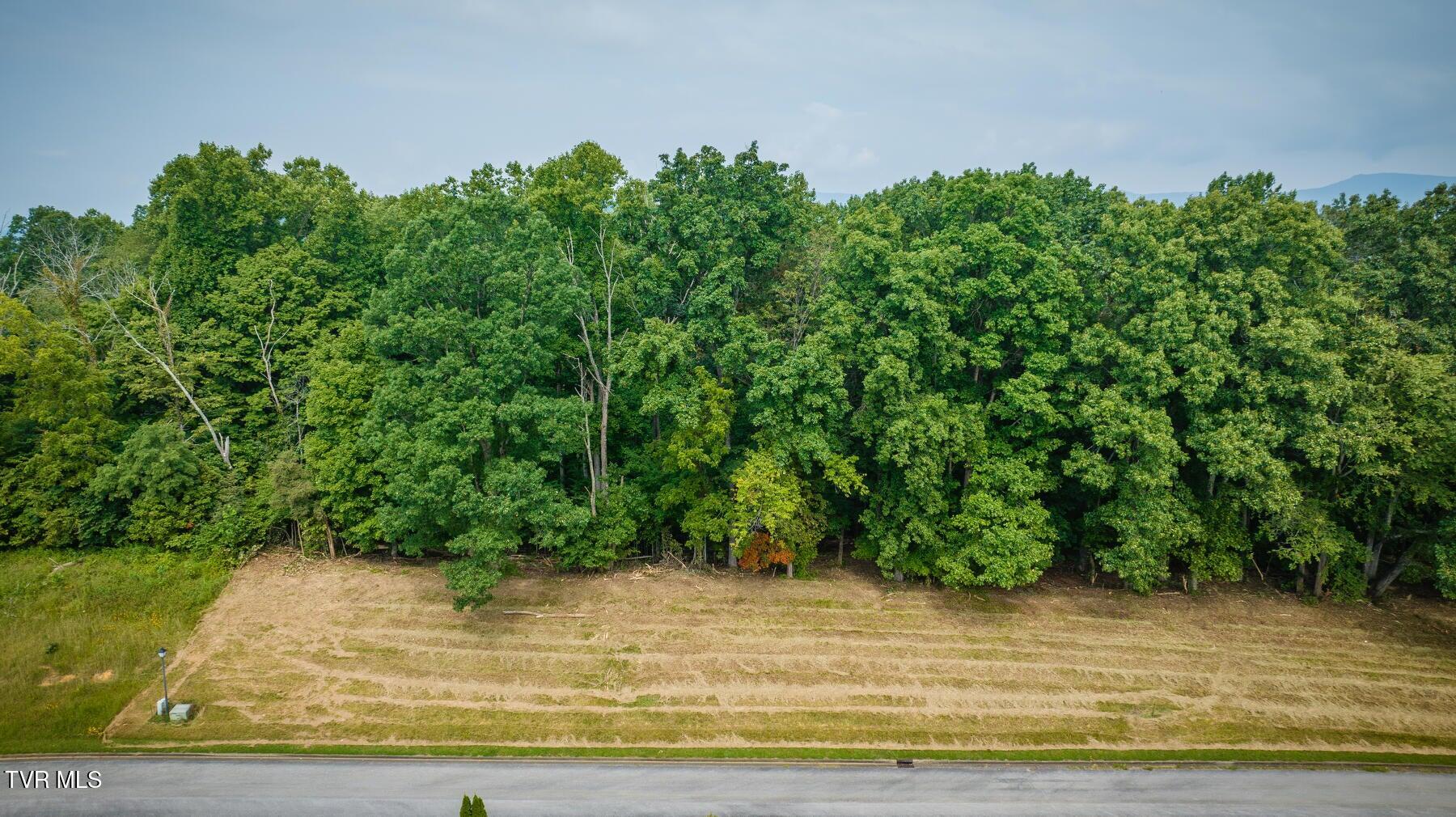 Lot 41 Chimney Top Lane, Unit 41 Chuckey, TN 37641 - Photo 10 of 10 20230827100748115108000000-o