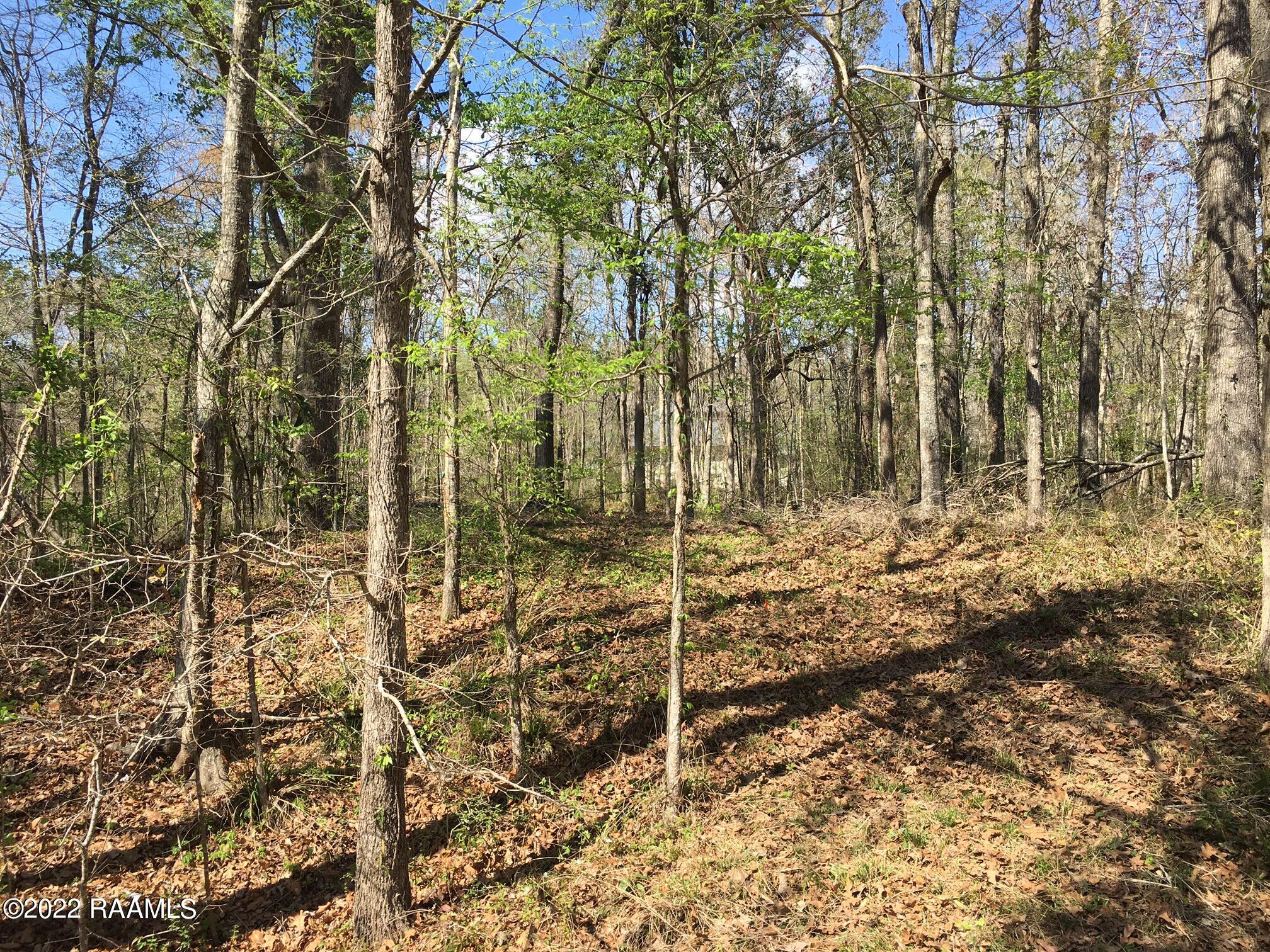 6222 Viator Road Maurice, LA 70555 - Photo 4 of 11 IMG_5660