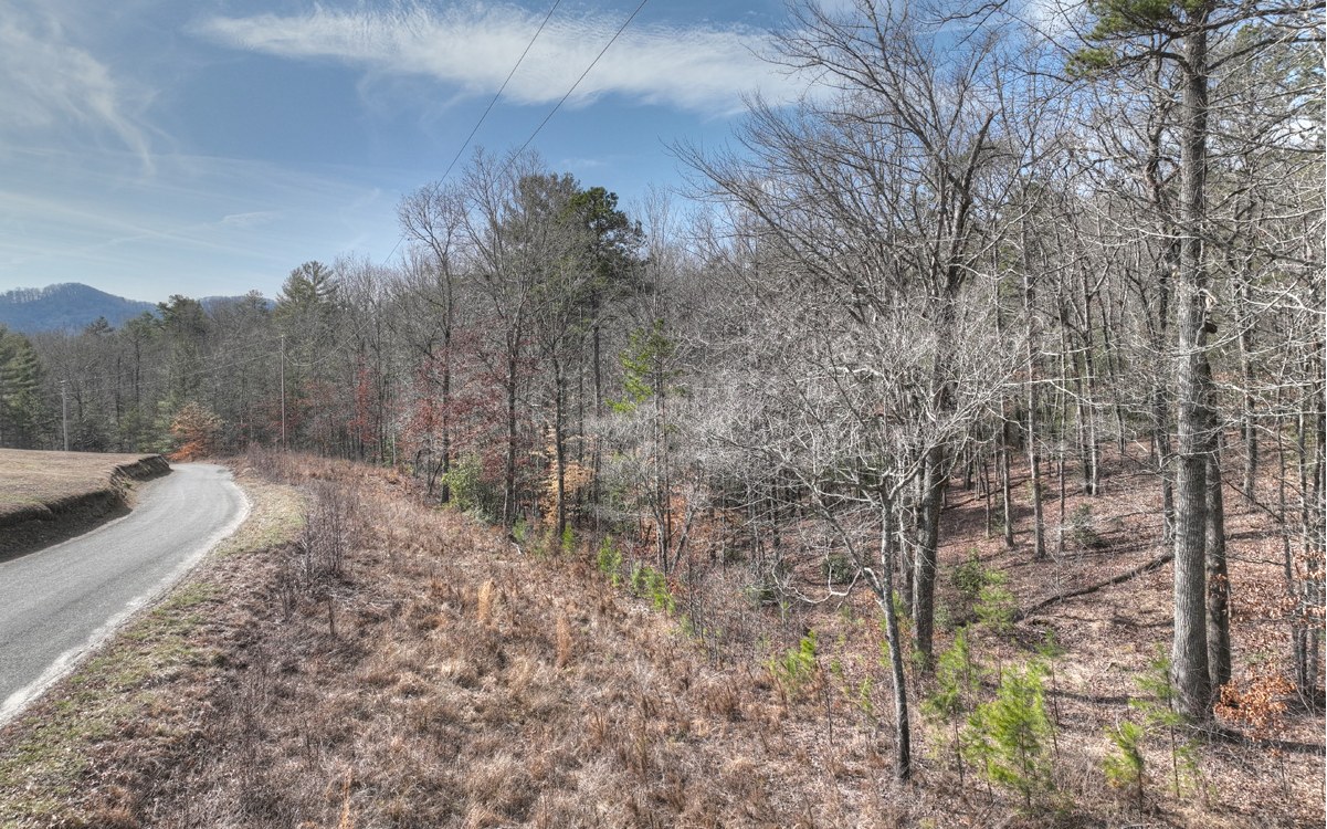 Mt Herman Road Mineral Bluff, GA 30559 - Photo 6 of 15 Additional View
