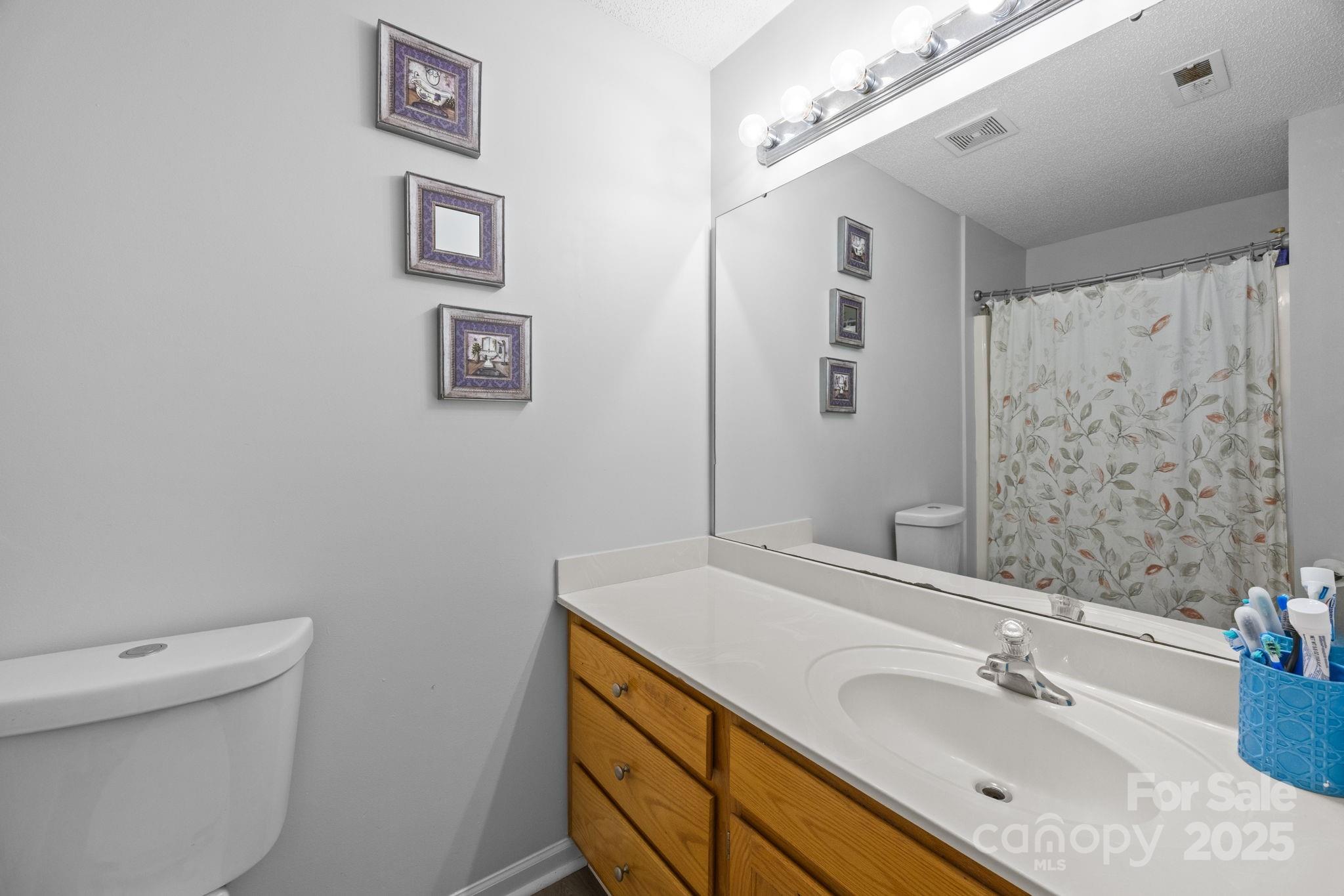 708 Raindrops Road Gastonia, NC 28054 - Photo 13 of 28 a bathroom with a sink mirror vanity and toilet