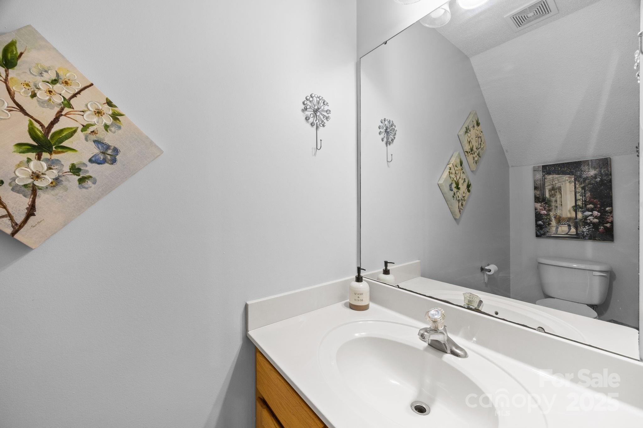 708 Raindrops Road Gastonia, NC 28054 - Photo 8 of 28 a bathroom with a sink and a mirror