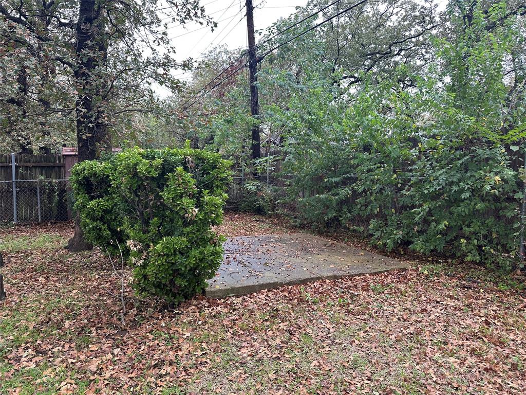 532 Plainview Drive Hurst, TX 76054 - Photo 9 of 40 a view of a yard with plants and large trees