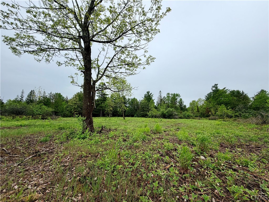 8 County Rte Cape Cape Vincent, NY 13618 - Photo 2 of 13