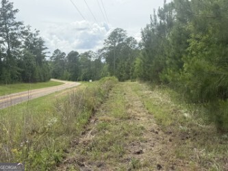 50 Harvest Road Coleman, GA 39836 - Photo 6 of 37 a view of a big yard with an trees