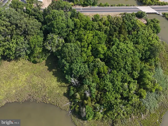 a view of a lake from a yard
