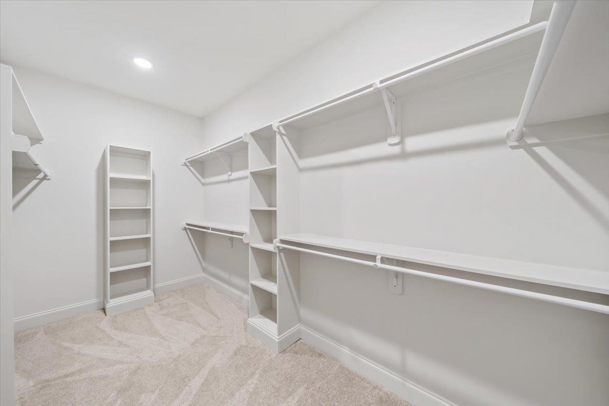 499 Armel Drive Collierville, TN 38017 - Photo 20 of 40 a view of an empty walk in closet