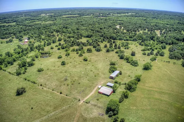a view of a forest with a yard