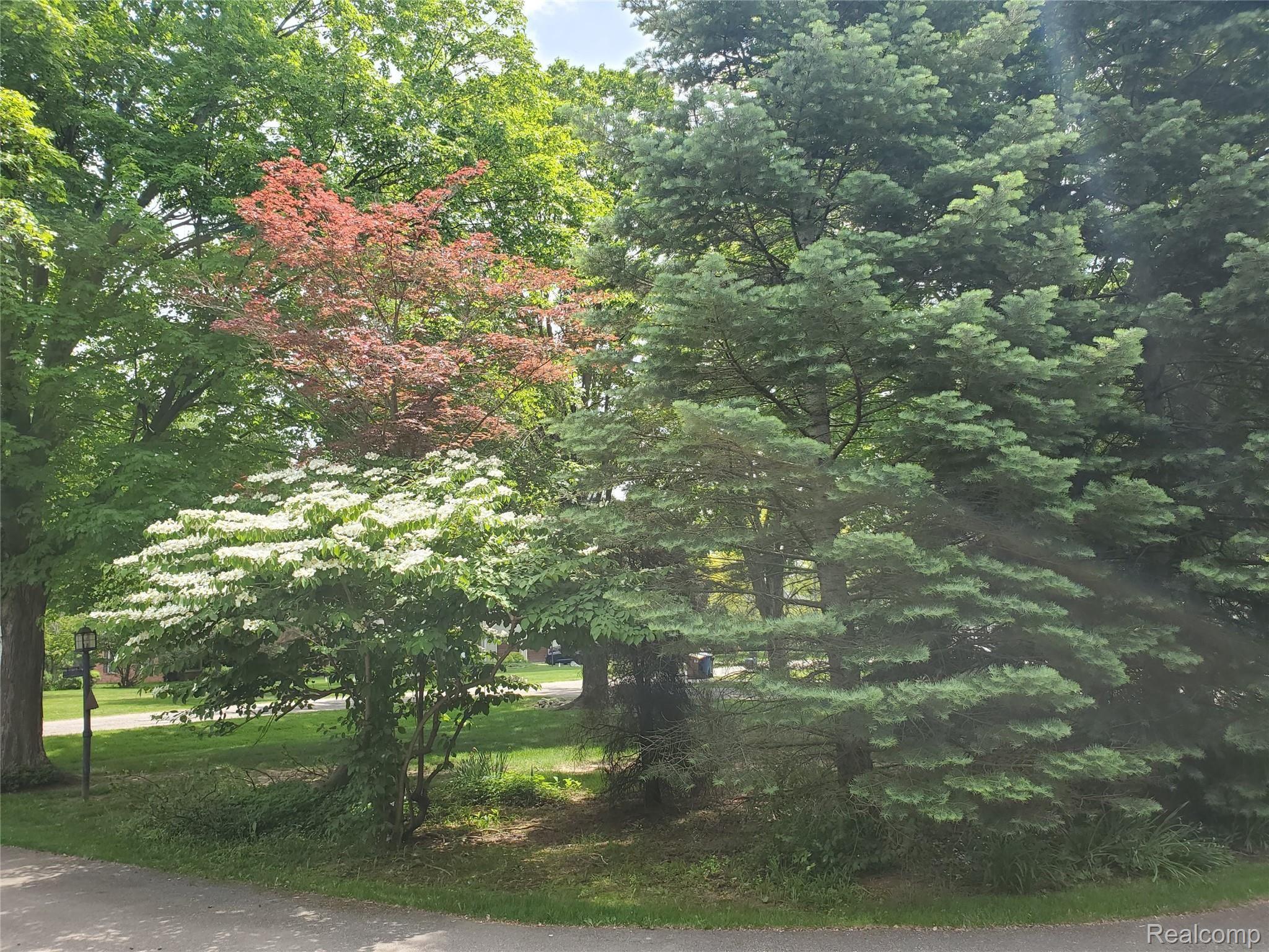 1230 Fox Chase Road Bloomfield Hills, MI 48301 - Photo 8 of 32 20210521_131915.jpg