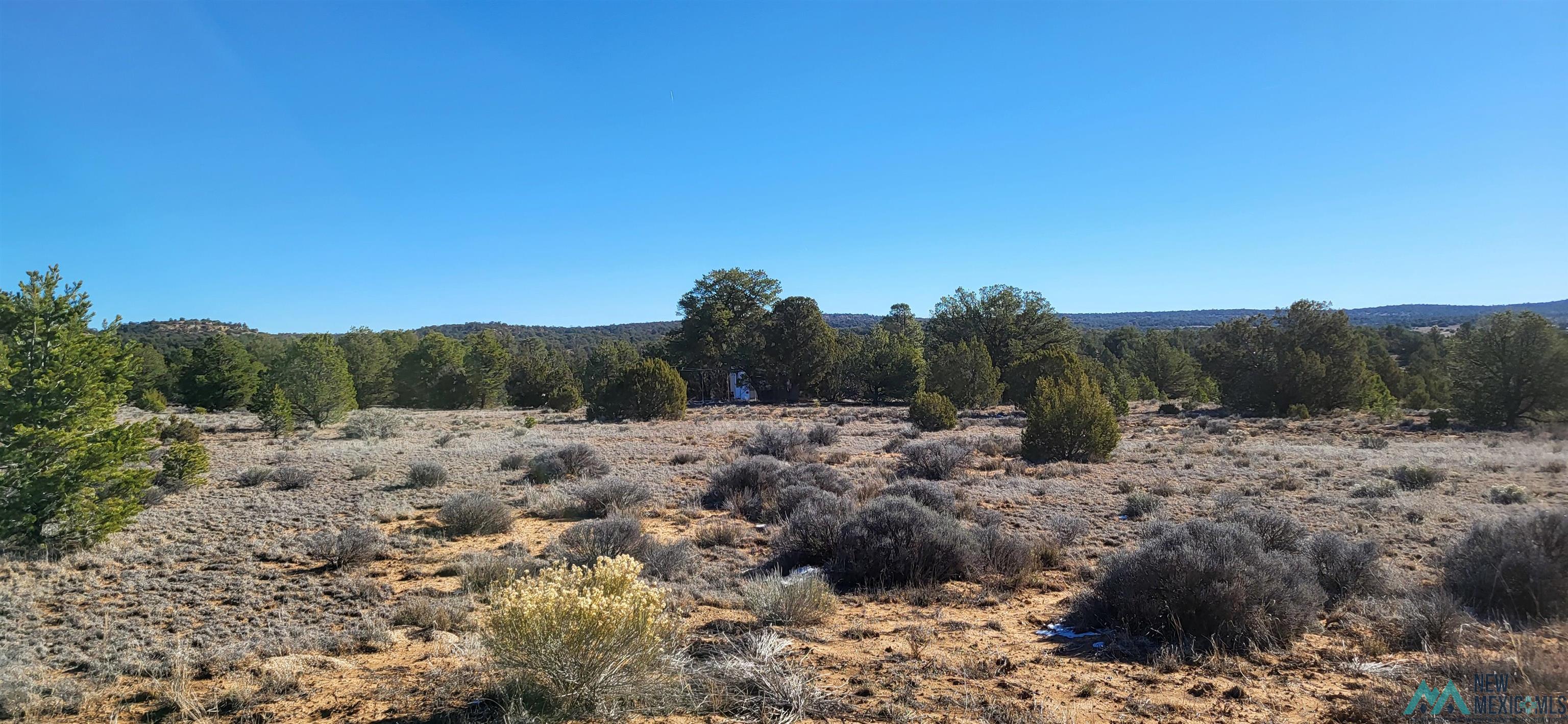 Tbd Arrowhead Road Pinehill, NM 87357 - Photo 6 of 23 Mountain view with rural landscape