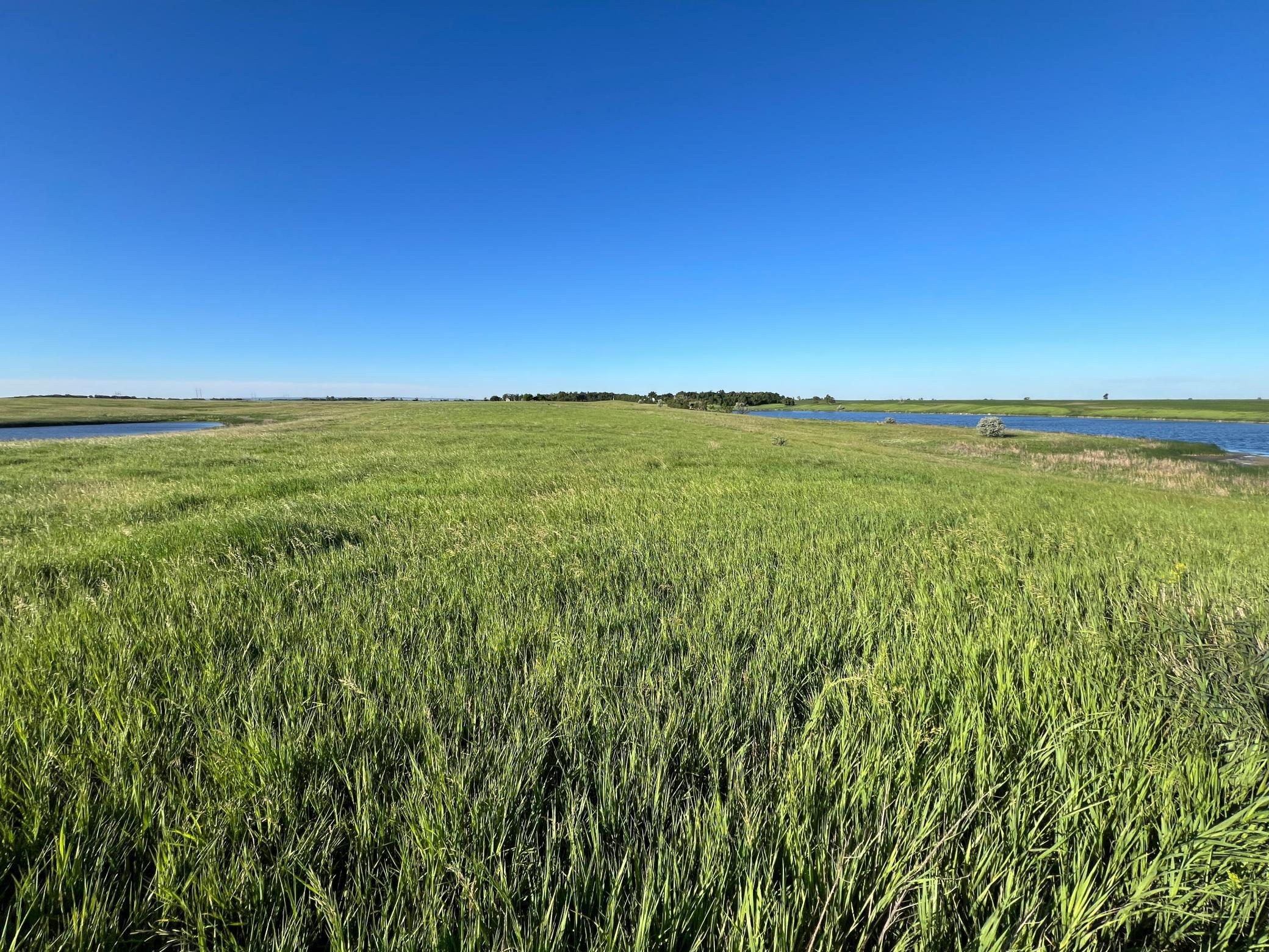 Tbd Southeast Tbd Se 90th Street Rutland, ND 58067 - Photo 32 of 105