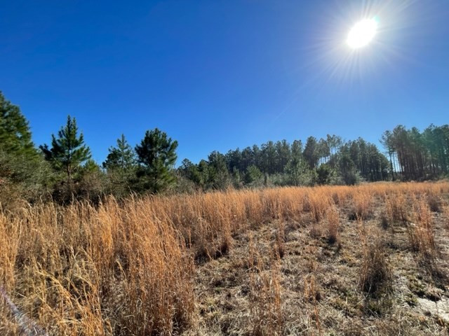 0 Armstrong Road Tylertown, MS 39667 - Photo 8 of 13 Photo 8