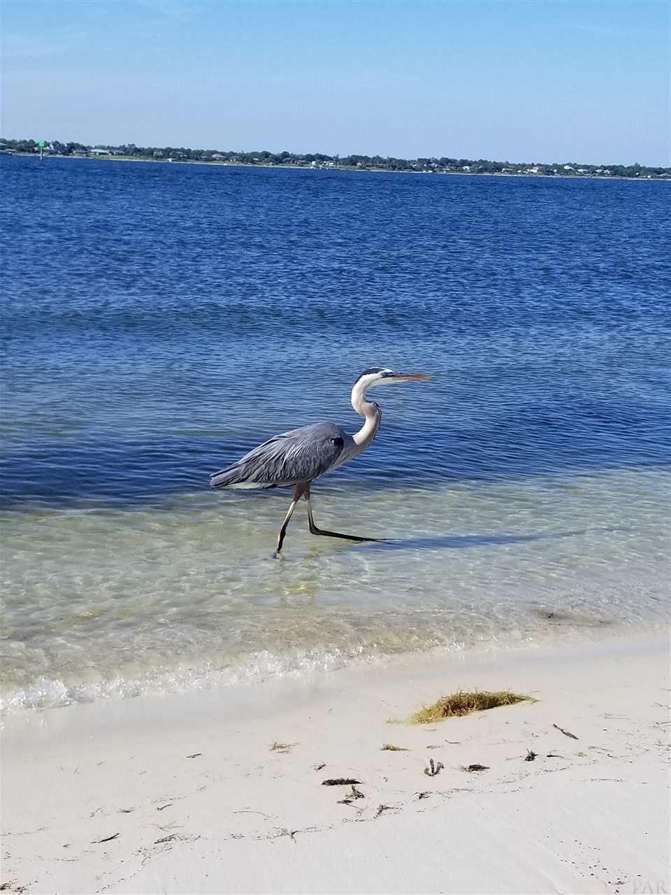 14100 River Road, Unit 237 Perdido Key, FL 32507 - Photo 11 of 24