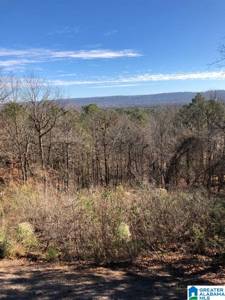4047 Somerset Ridge Birmingham, AL 35242 - Photo 19 of 27