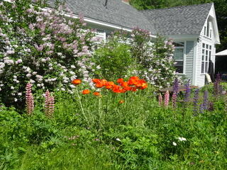72 Woodside Road Brunswick, ME 04011 - Photo 47 of 55 DSC00232