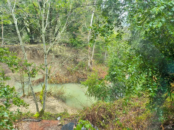 a view of a lake view with a plant
