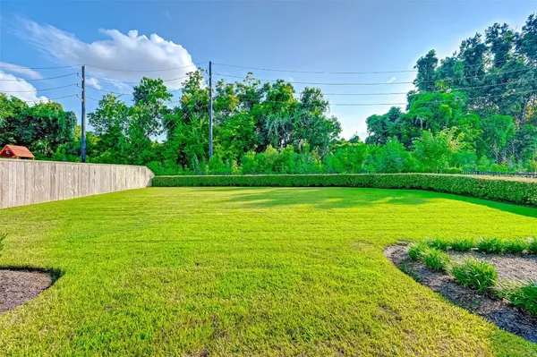 a view of a large yard with a large trees