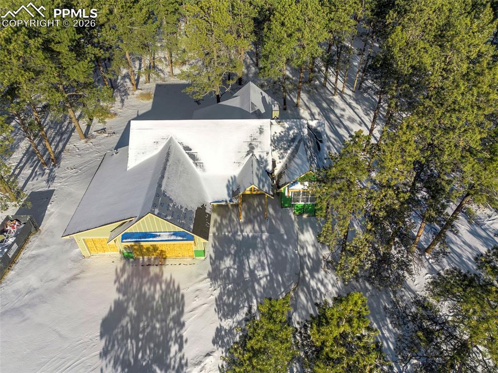 10697 Alamar Way Colorado Springs, CO 80908 - Photo 4 of 24 a view of a swimming pool with a yard and plants