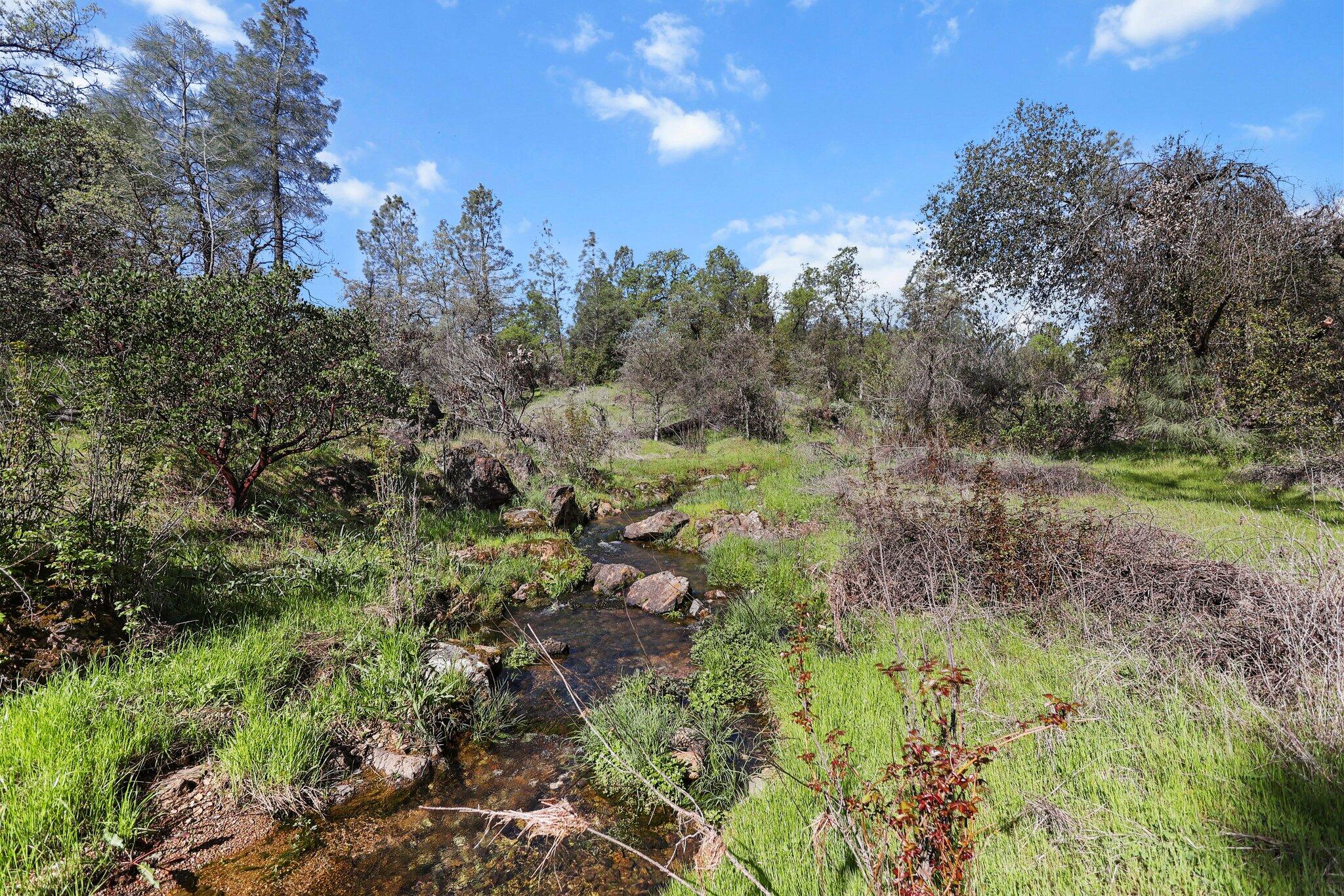 16588 Stanislaus Drive Redding, CA 96001 - Photo 45 of 53 a view of a lush green forest with lots of trees