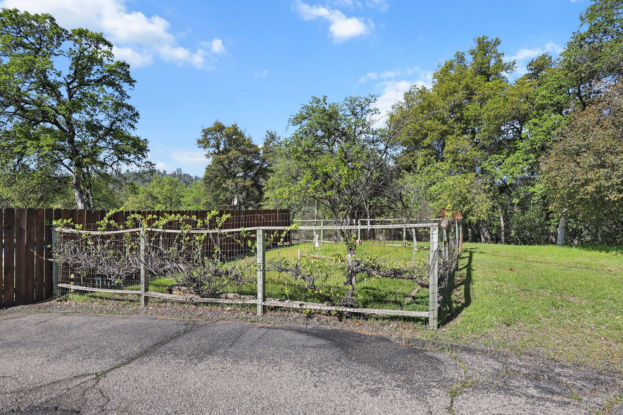 16588 Stanislaus Drive Redding, CA 96001 - Photo 46 of 53 a view of a field with a sitting area