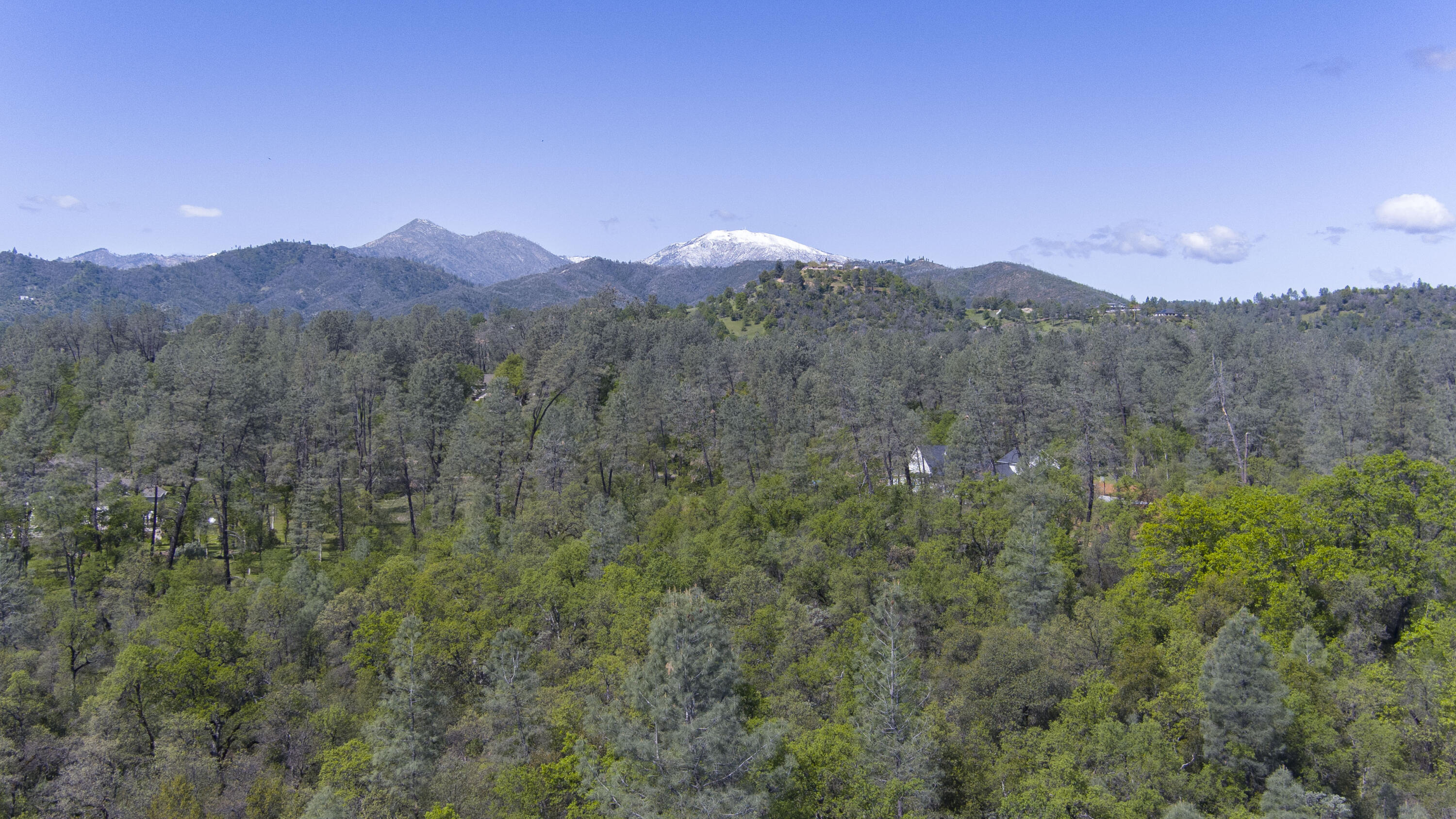 16588 Stanislaus Drive Redding, CA 96001 - Photo 51 of 53 a view of a lush green forest with mountains in the background