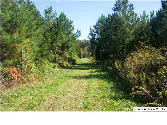 11 Highway Acs Al, Unit 40 Springville, AL 35146 - Photo 4 of 8