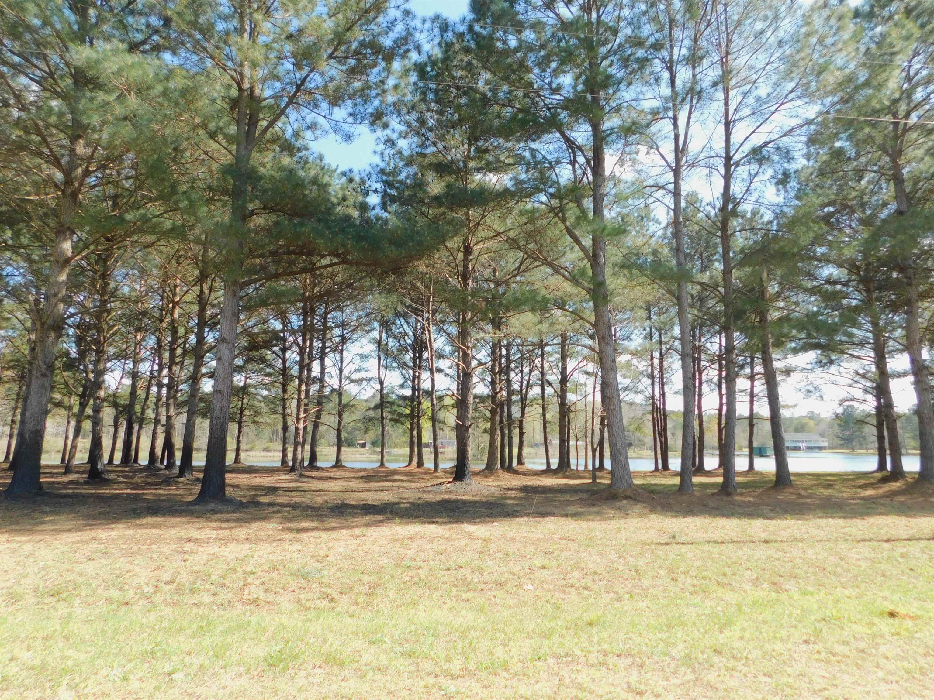 Lot 15 Fop Lodge Road Andalusia, AL 36421 - Photo 2 of 2 Gallery Image 2