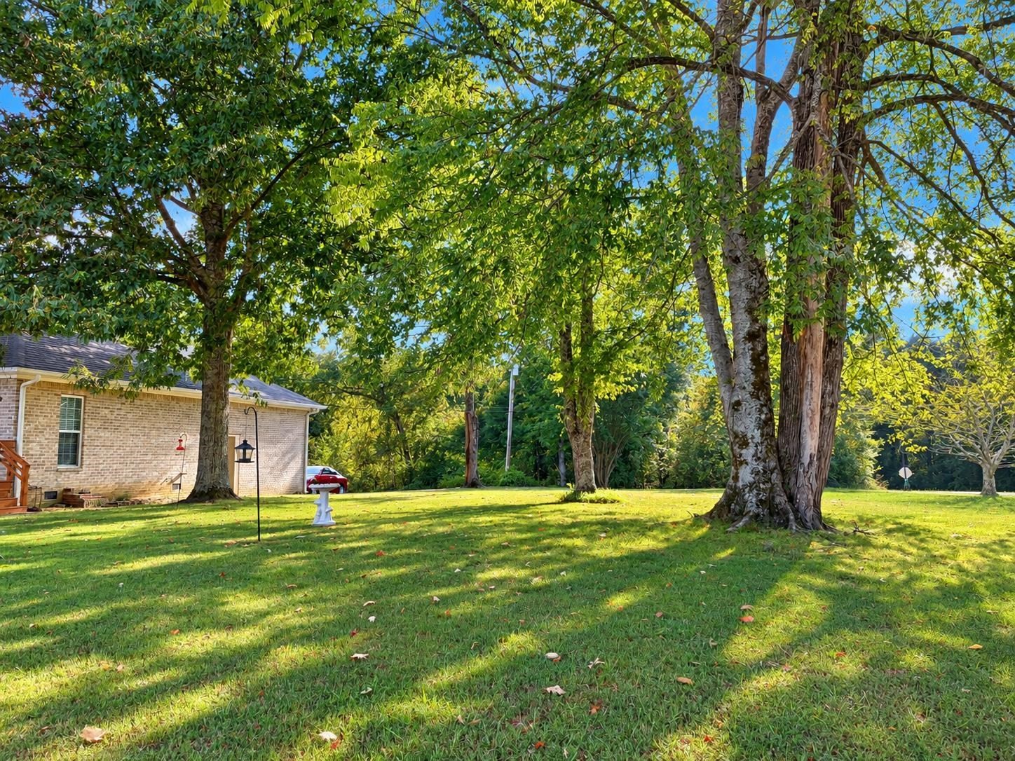 2460 Caney Branch Road Adamsville, TN 38310 - Photo 25 of 25 Gallery Image 25