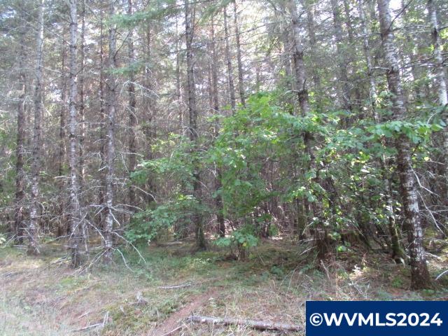 0 Northwest Crane (2) Road Yamhill, OR 97148 - Photo 2 of 7
