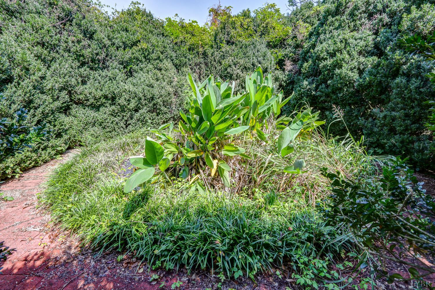 2710 Goode Station Road Goode, VA 24556 - Photo 63 of 93