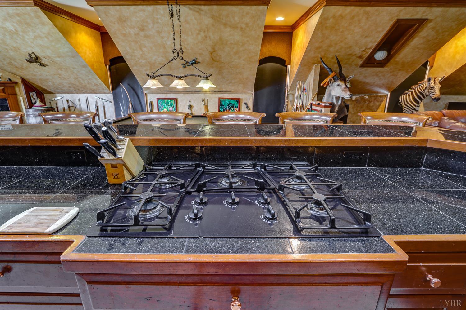 2710 Goode Station Road Goode, VA 24556 - Photo 81 of 93