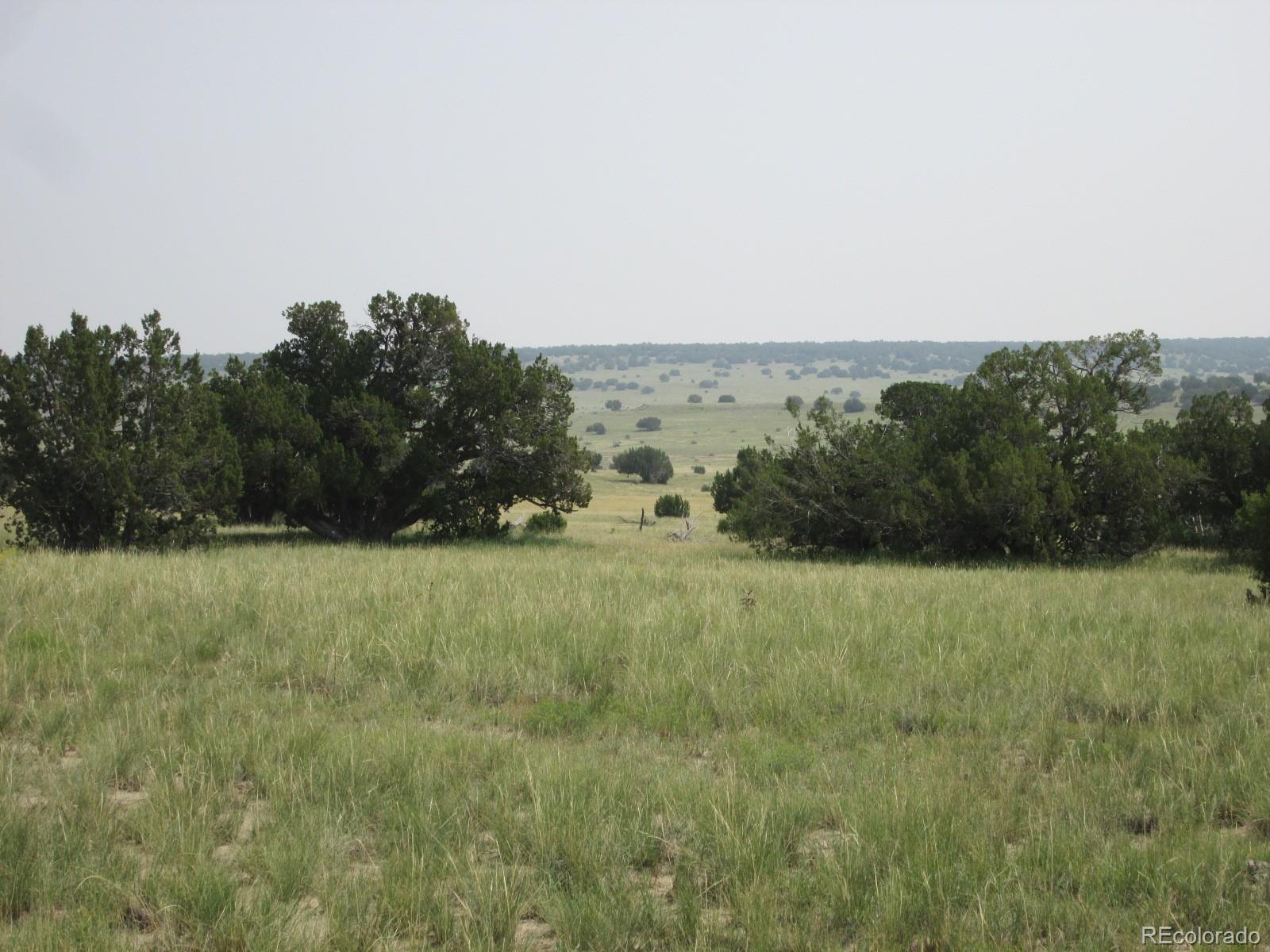 Las Animas Ranch Model, CO 81059 - Photo 11 of 14 Gallery Image 11