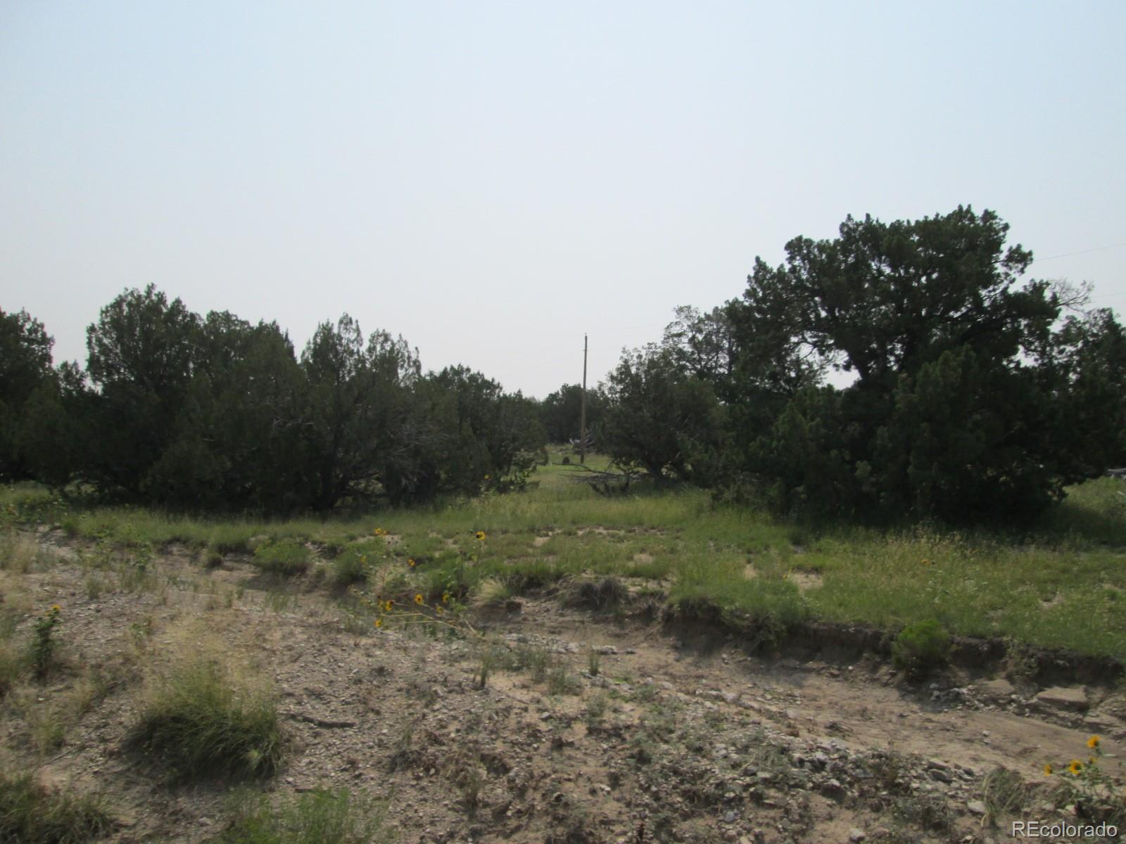 Las Animas Ranch Model, CO 81059 - Photo 3 of 14 Gallery Image 3
