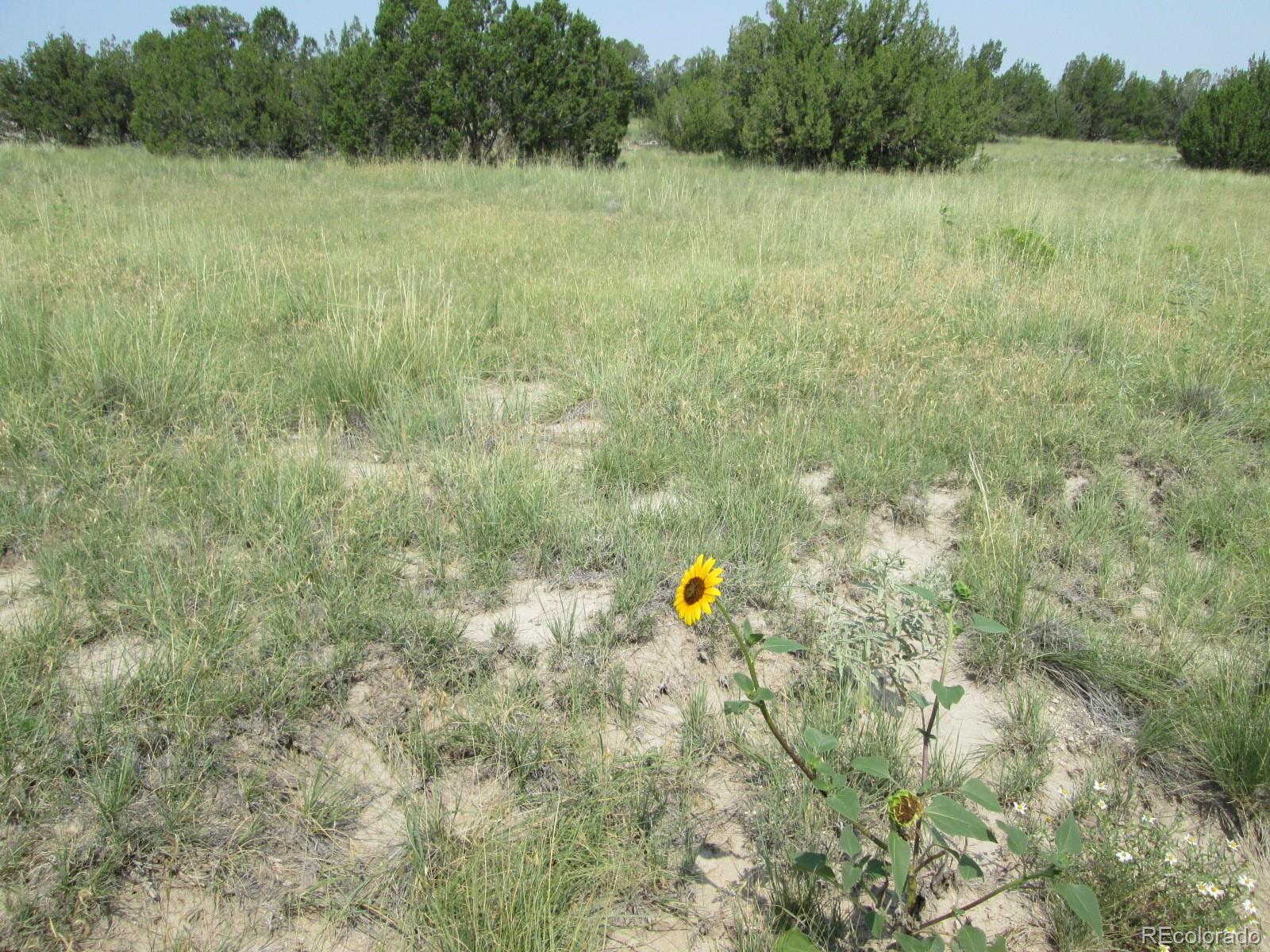 Las Animas Ranch Model, CO 81059 - Photo 6 of 14 Gallery Image 6