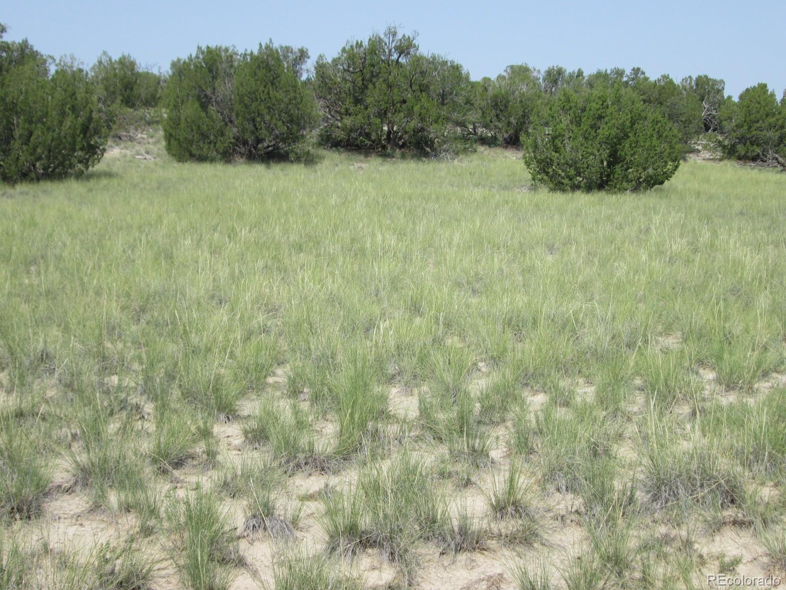 Las Animas Ranch Model, CO 81059 - Photo 10 of 14 Gallery Image 10